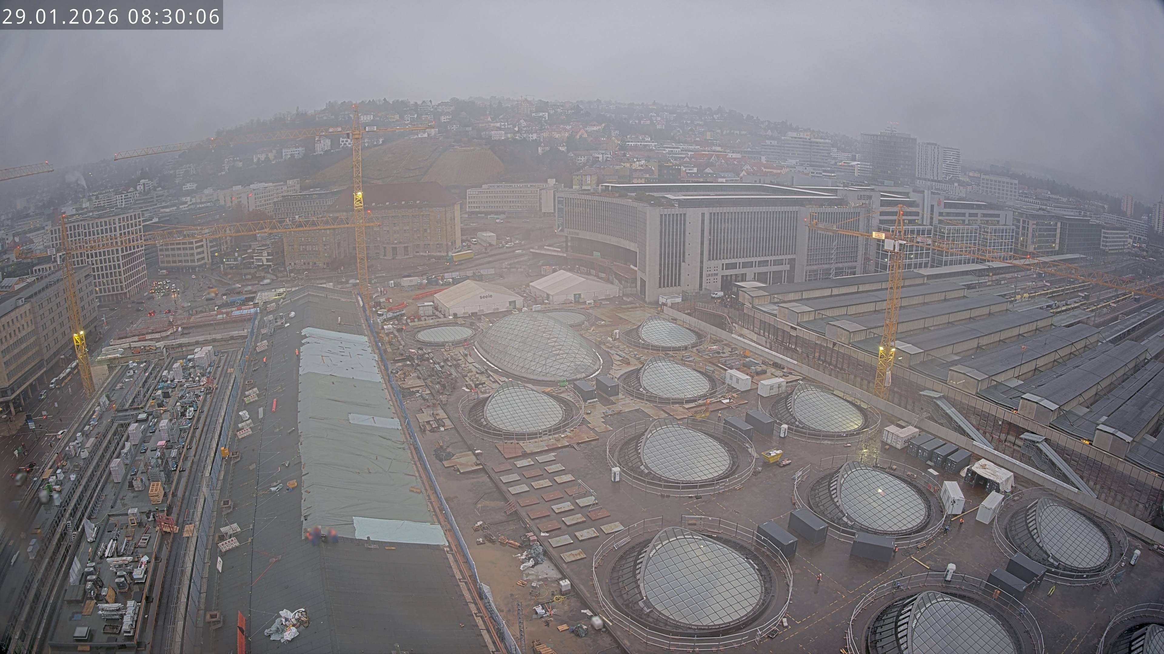 29.01.2026 08:30