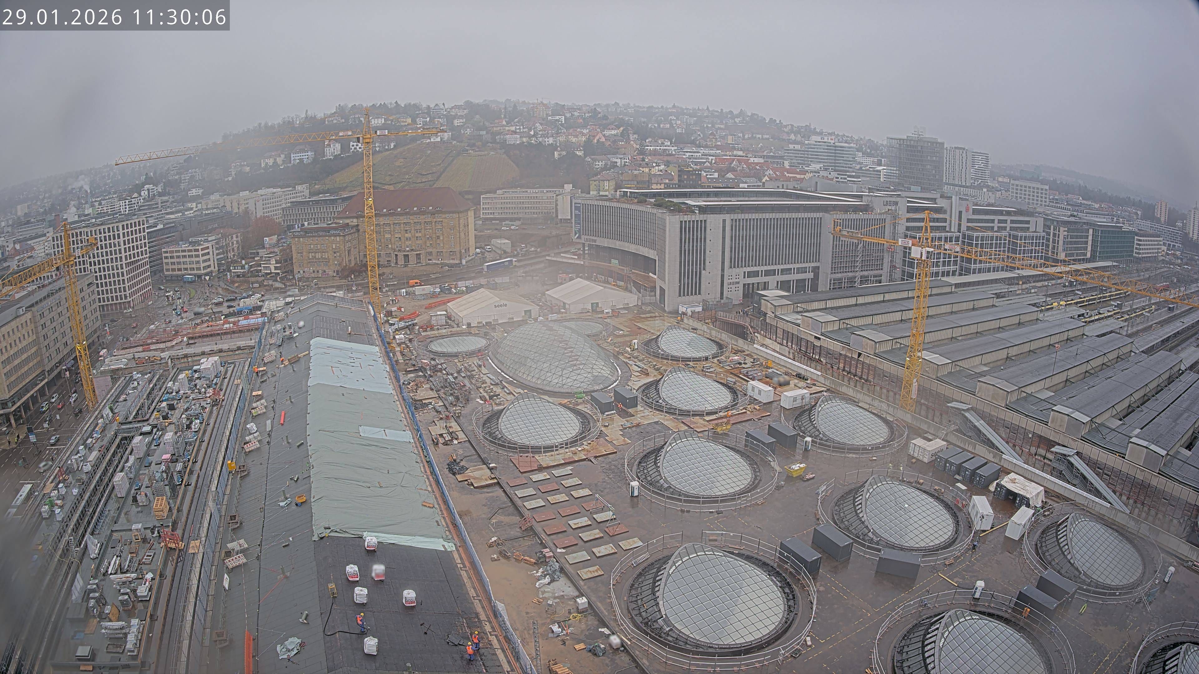 29.01.2026 11:30