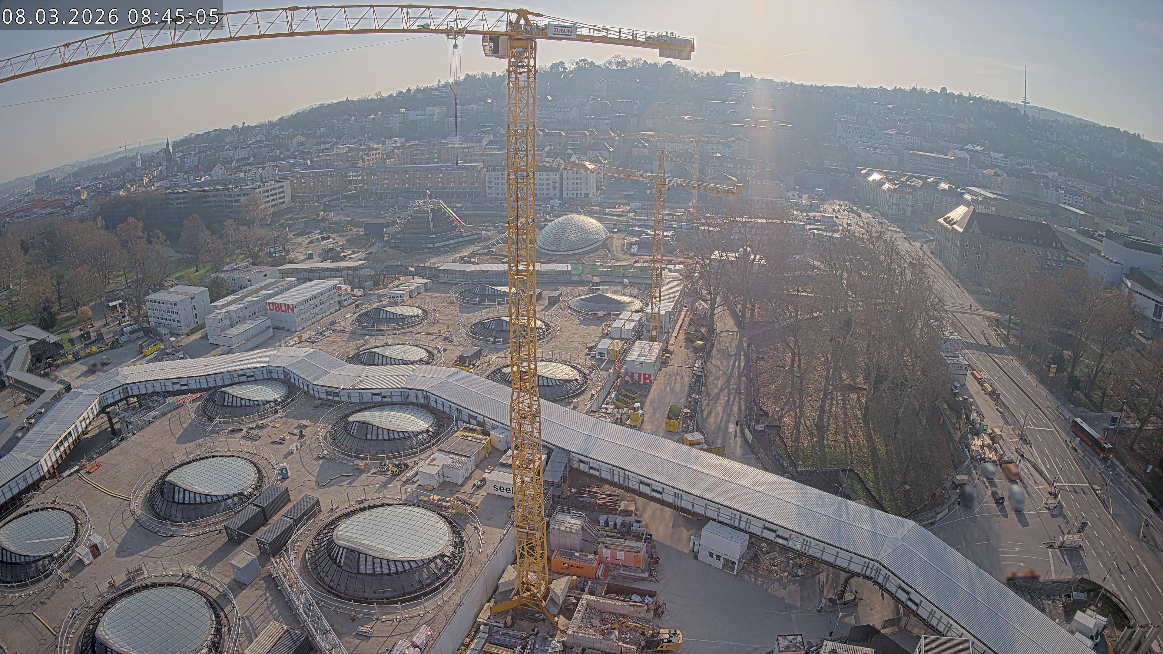 08.03.2026 08:45
