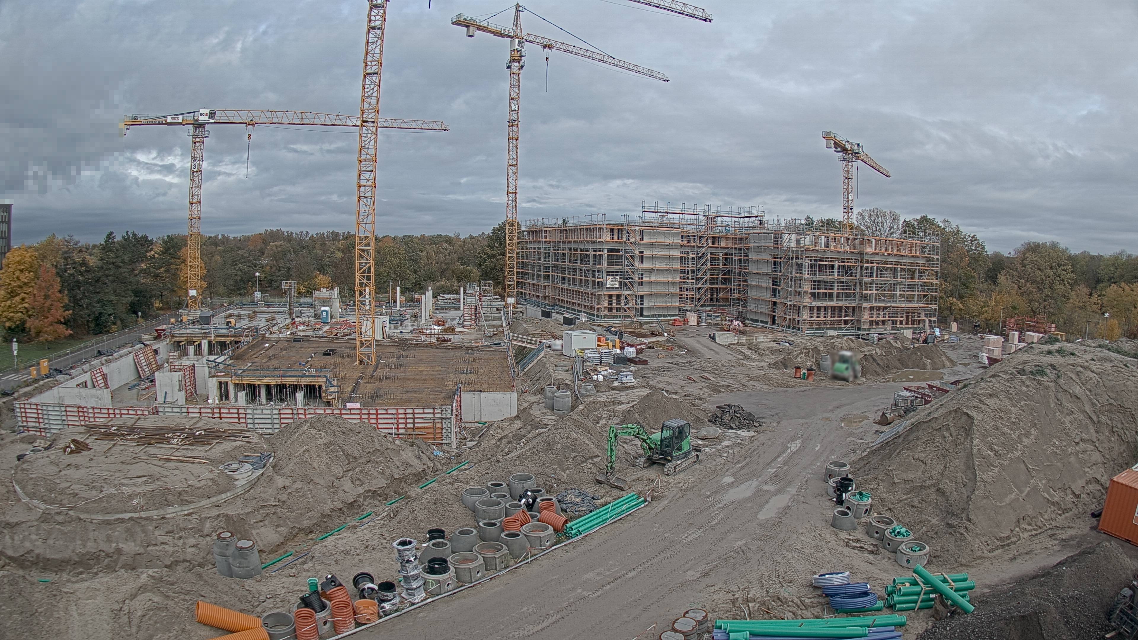 02.11.2025 11:00