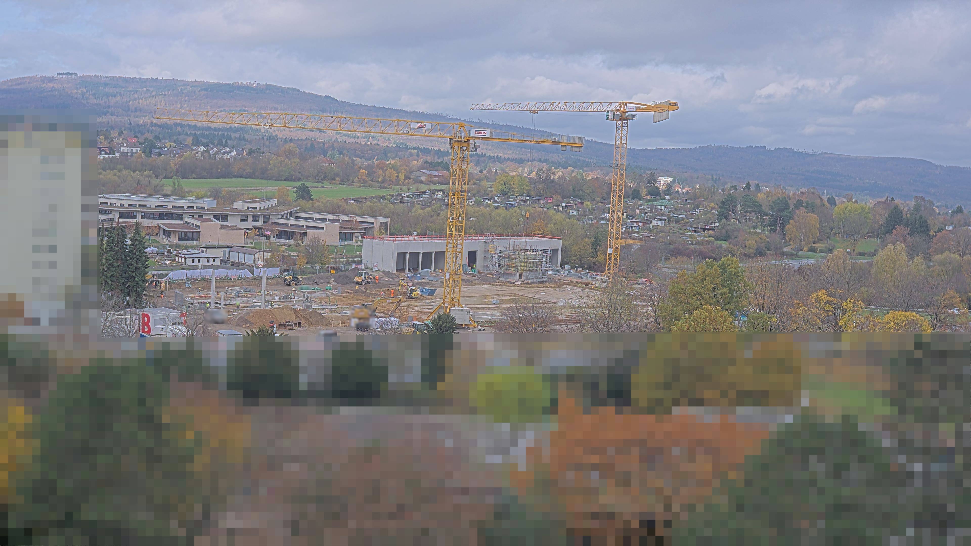 11.11.2025 13:05