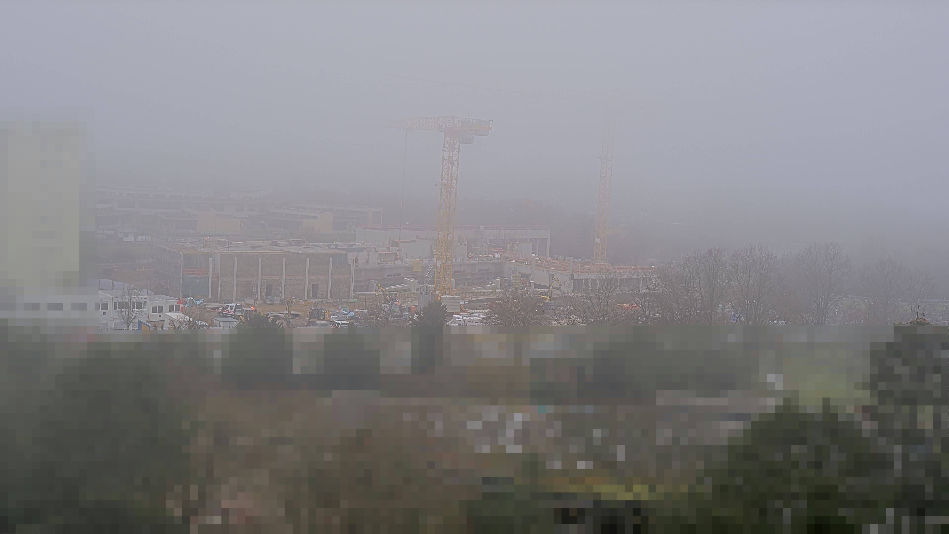 26.02.2026 11:00