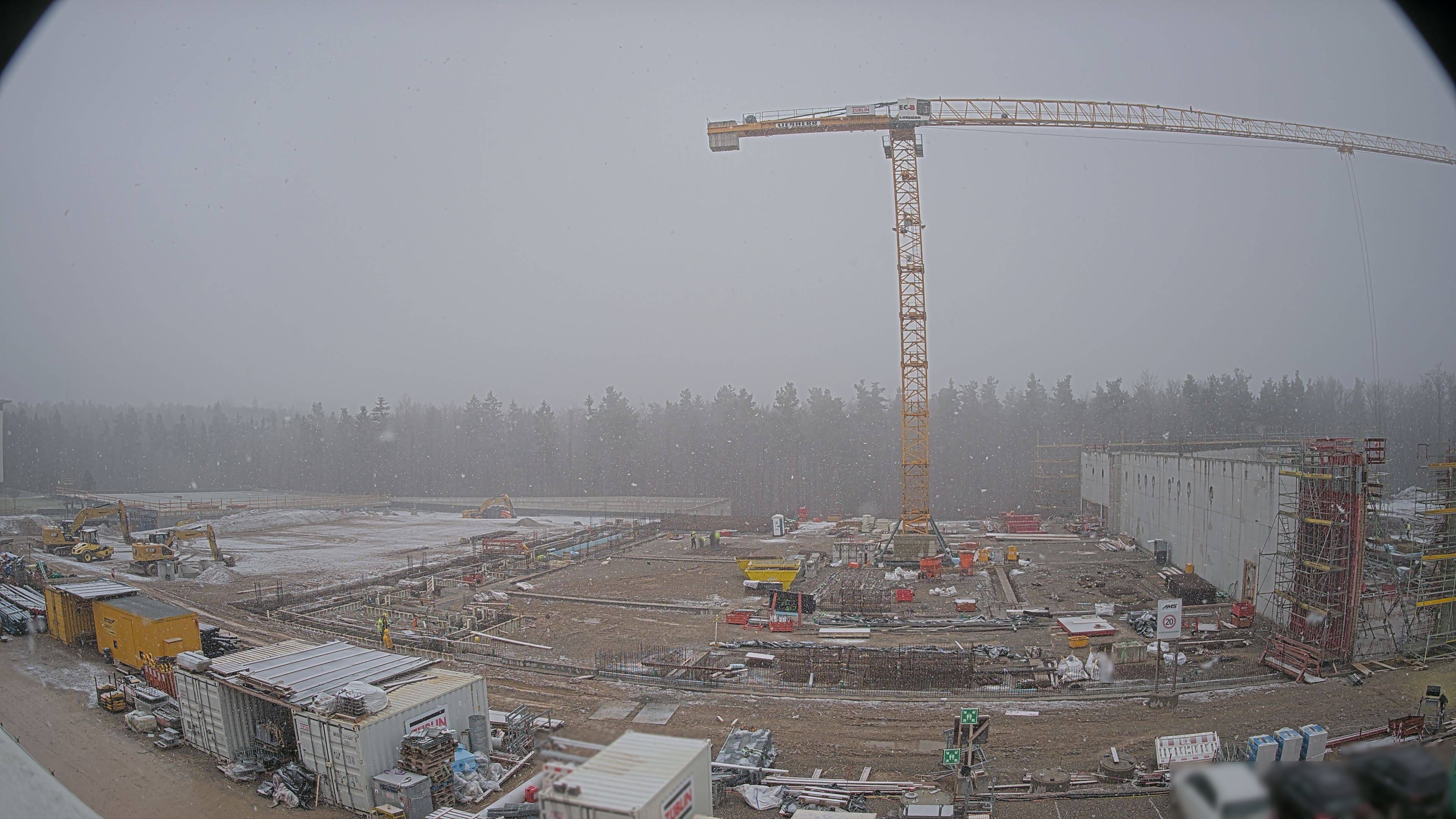 29.01.2026 09:30