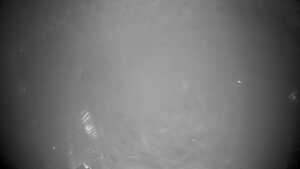12.12.2025 06:45