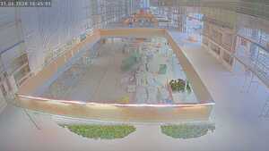 31.05.2026 16:45