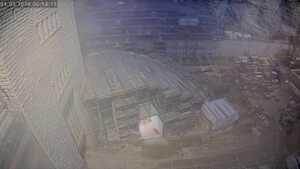 01.03.2026 06:45