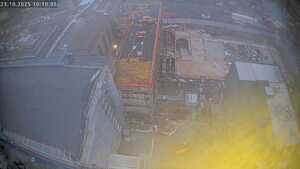 23.10.2025 10:10