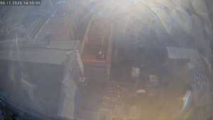 06.11.2025 14:55