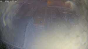 08.11.2025 06:50