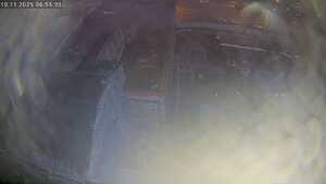 10.11.2025 06:55