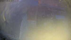 11.11.2025 07:05