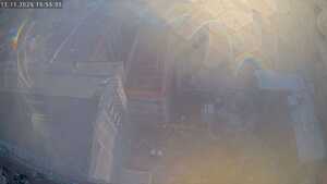 11.11.2025 15:55
