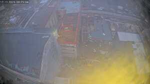 17.11.2025 08:25