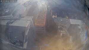 18.11.2025 12:55