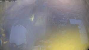 09.12.2025 16:30