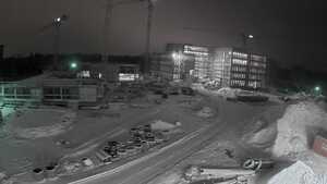 31.01.2026
