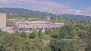 17.07.2026