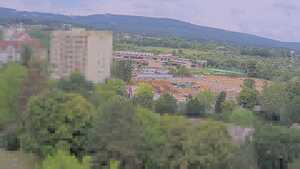 30.07.2025 13:25