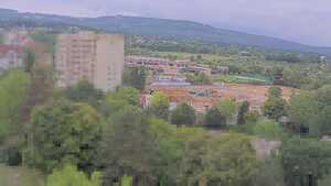 31.07.2025 10:05