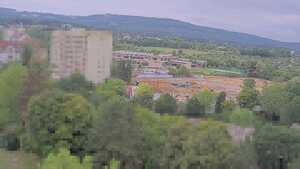 31.07.2025 10:20