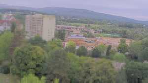 31.07.2025 11:30