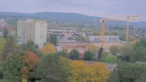 11.10.2025 10:50