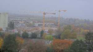 10.11.2025 11:50