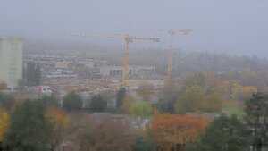 10.11.2025 11:55