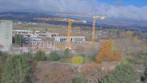 17.11.2025 11:50