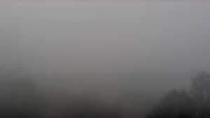 11.12.2025 08:30