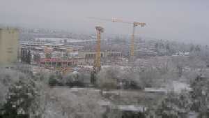 30.01.2026 11:00
