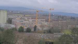 14.02.2026 11:00