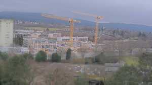 14.02.2026 16:45