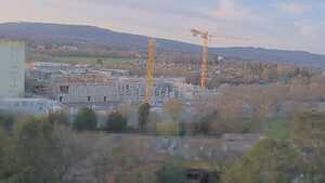 12.03.2026 17:50