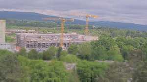 18.05.2026 11:15