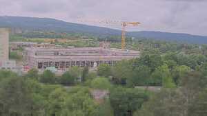 15.06.2026 08:30