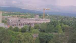29.06.2026 11:45