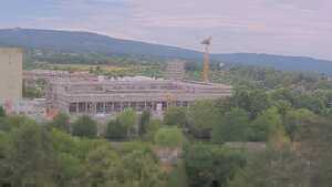17.07.2026 11:15