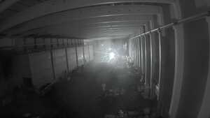 19.02.2026 06:30