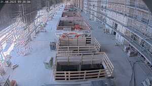 31.08.2025 09:30