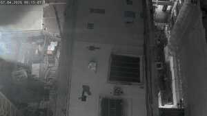 02.04.2026 06:15